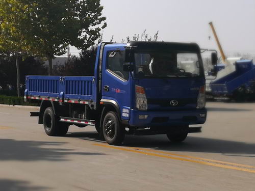 SSF1041HDJ75载货汽车燃油公告图片2