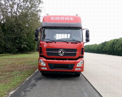 DFH1310A1载货汽车燃油公告图片1