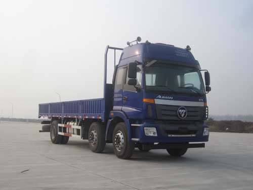 BJ1252VMPHE-AA载货汽车燃油公告图片2