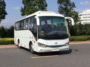 KLQ6852KAE52客车燃油公告图片2