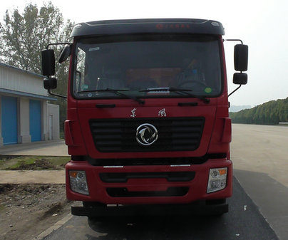 DFZ3310GSZ5D5自卸汽车燃油公告图片1