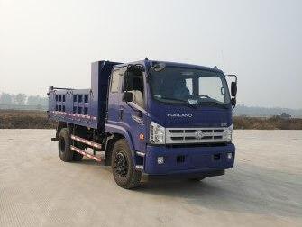 BJ3163DJPFA-FA自卸汽车燃油公告图片2
