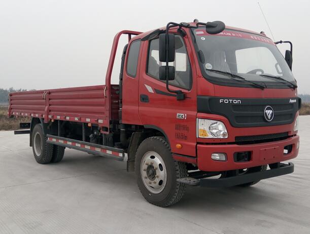 BJ1129VGJED-A1载货汽车燃油公告图片2