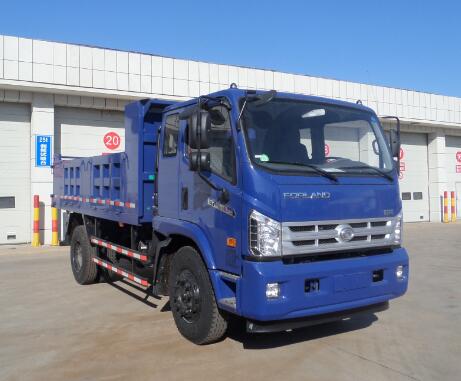 BJ3043D8PEA-FD自卸汽车燃油公告图片2