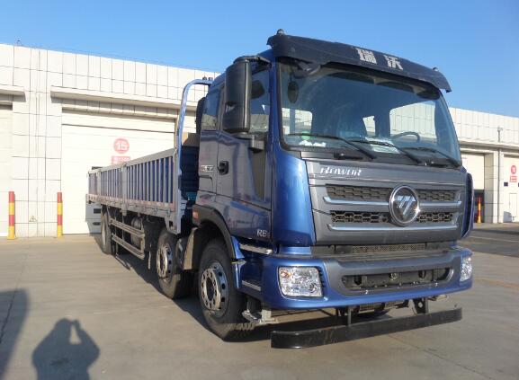 BJ1256VMPHP-1载货汽车燃油公告图片2