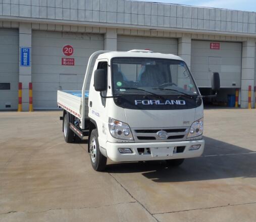 BJ1042V9JB5-A1载货汽车燃油公告图片2