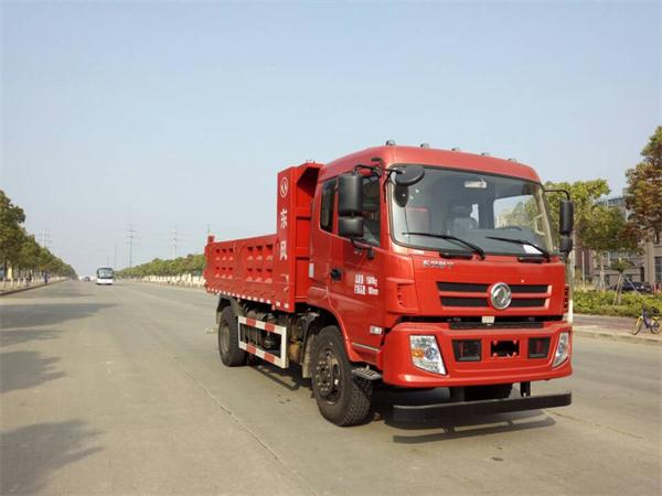 EQ3168GLV2自卸汽车燃油公告图片2