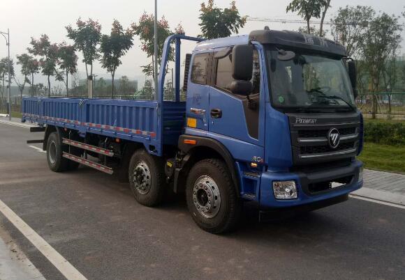 BJ1255VNPHE-FA载货汽车燃油公告图片2