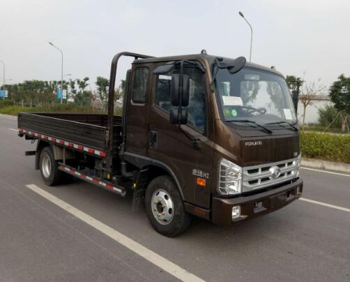 BJ1046V9PDA-BB载货汽车燃油公告图片2