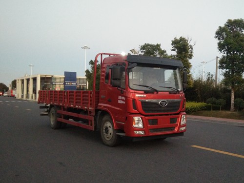 ZZ1188F10EB1载货汽车燃油公告图片2
