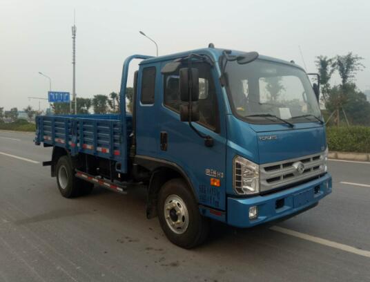 BJ1043V9PEA-GN载货汽车燃油公告图片2