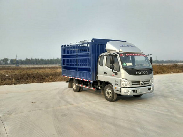 BJ5049CCY-C1仓栅式运输车燃油公告图片2