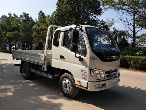 BJ1046V9JA5-AD载货汽车燃油公告图片2