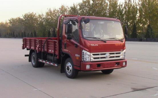 BJ1043V9JEA-GM载货汽车燃油公告图片2