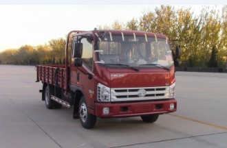 BJ1043V9PEA-GN载货汽车燃油公告图片2