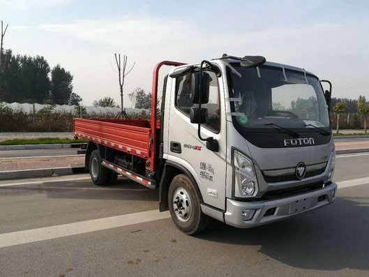 BJ1048V9JDA-FA载货汽车燃油公告图片2