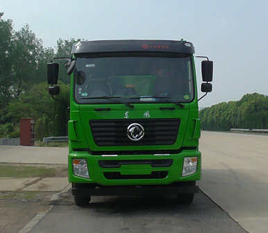 DFZ3310GSZ5D3自卸汽车燃油公告图片1