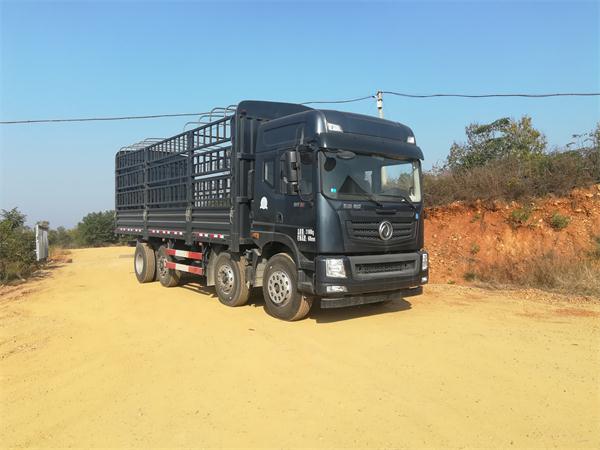 EQ5311CCYLV1仓栅式运输车燃油公告图片2