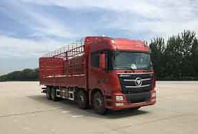 BJ5319CCY-AA仓栅式运输车燃油公告图片2