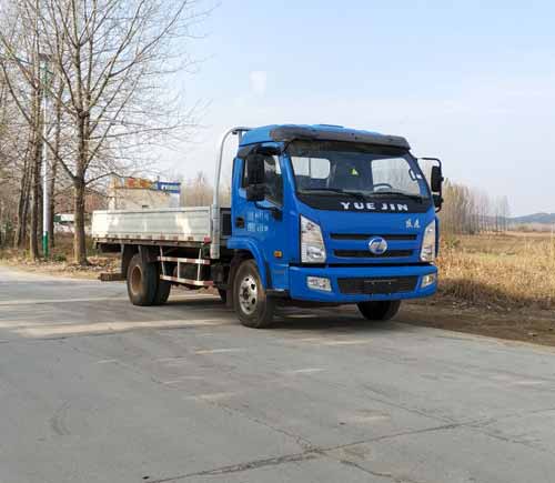 SH1042KFDCWZ载货汽车燃油公告图片2