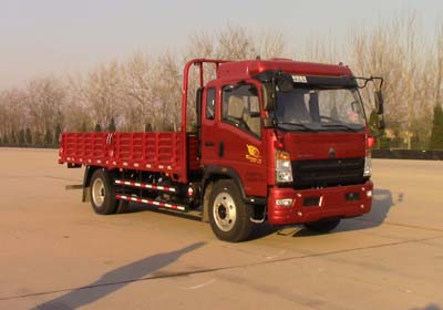 ZZ1107G421CE1载货汽车燃油公告图片2