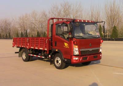 ZZ1047G3315E145载货汽车燃油公告图片2