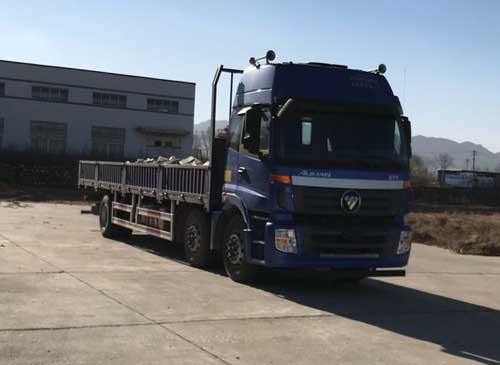 BJ1257VMPHP-XA载货汽车燃油公告图片2