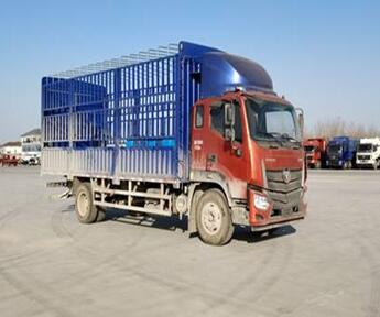 BJ5186CCY-A1仓栅式运输车燃油公告图片2