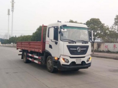 DFH1160E载货汽车燃油公告图片2