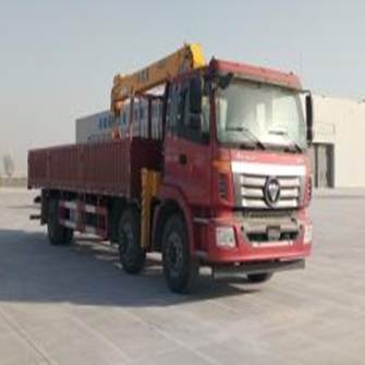 BJ5252JSQ-AB随车起重运输车燃油公告图片2