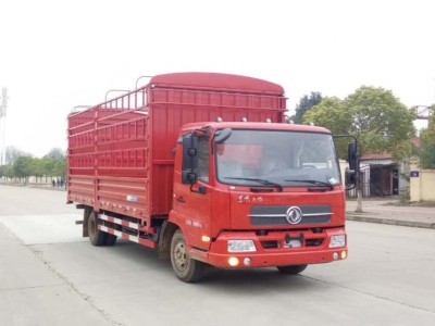 DFH5120CCYBXV仓栅式运输车燃油公告图片2