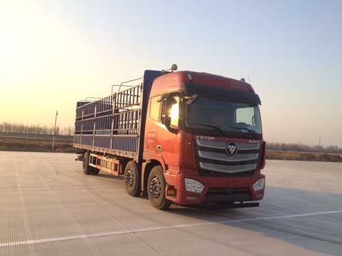 BJ5209CCY-AA仓栅式运输车燃油公告图片2
