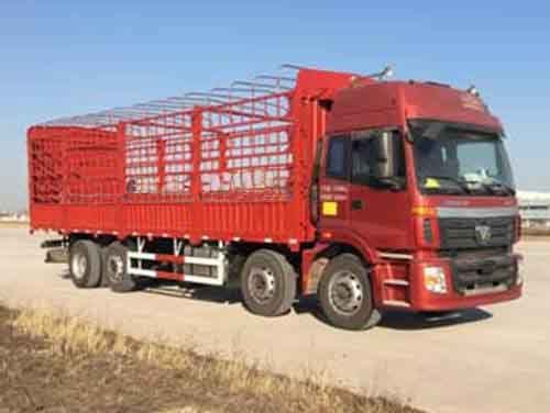 BJ5313CCY-AB仓栅式运输车燃油公告图片2