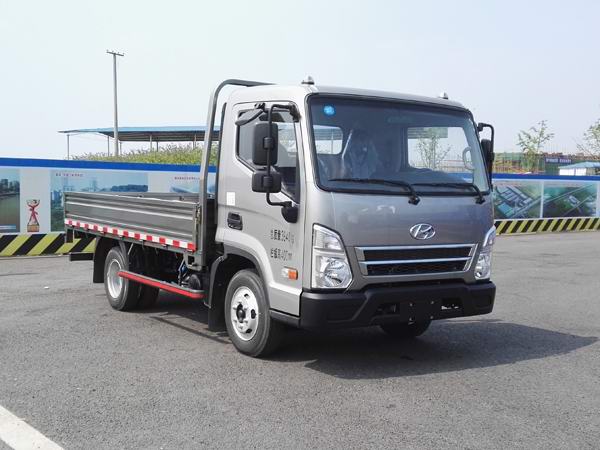 CHM1042GDC33V载货汽车燃油公告图片2
