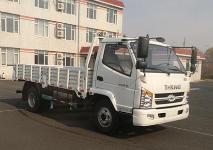 ZB1040TDD6V轻型货车燃油公告图片2