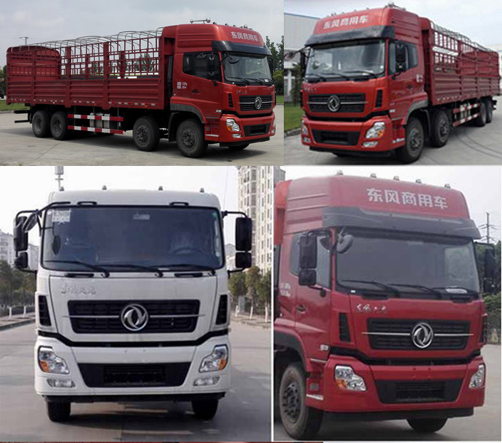 DFH5310CCYA1仓栅式运输车燃油公告扩展图片1
