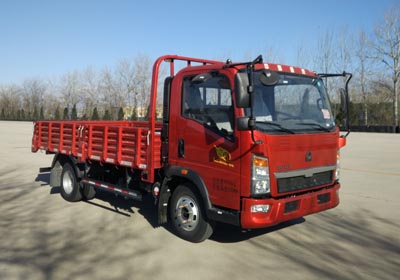ZZ1107G3315E1载货汽车燃油公告图片2
