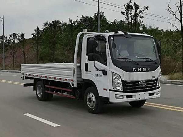 CNJ1041ZDB33V载货汽车燃油公告图片2