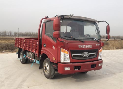 ZB1041UDD6V载货汽车燃油公告图片2