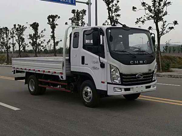 CNJ1041ZDB33V载货汽车燃油公告图片2