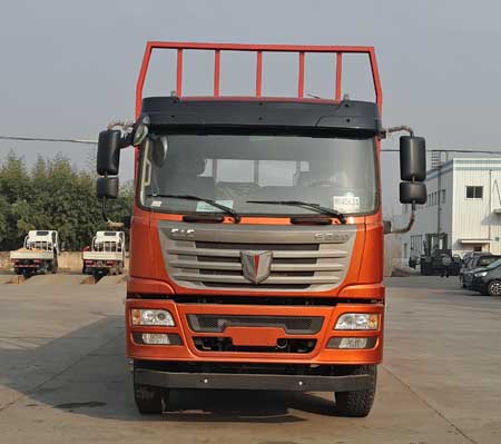 QCC1252D659N载货汽车燃油公告图片1