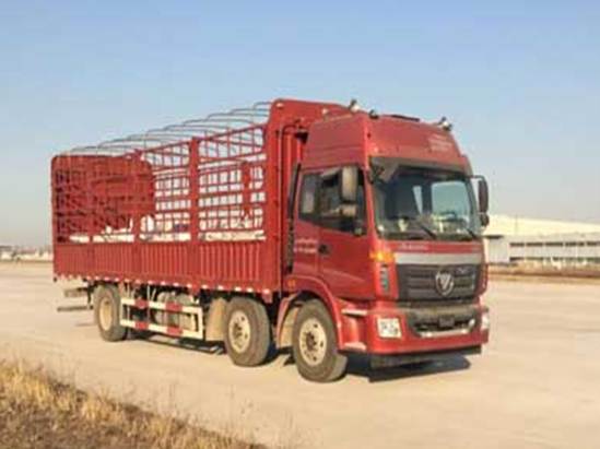 BJ5252CCY-AA仓栅式运输车燃油公告图片2