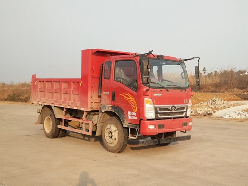 ZZ3048G17EB1自卸汽车燃油公告图片2