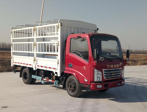 ZB5041CCYKDD6V仓栅式运输车燃油公告图片2