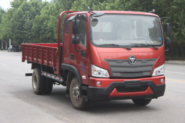 BJ1043V9JEA-AH载货汽车燃油公告扩展图片2