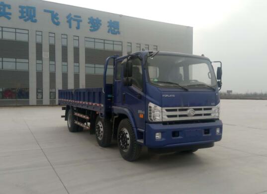 BJ1175VKPEB-FB载货汽车燃油公告图片2