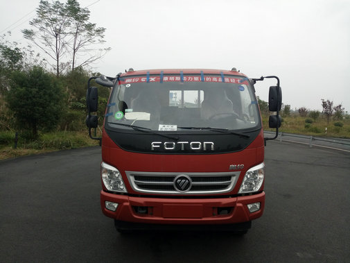 BJ1099VEPED-A2载货汽车燃油公告图片1