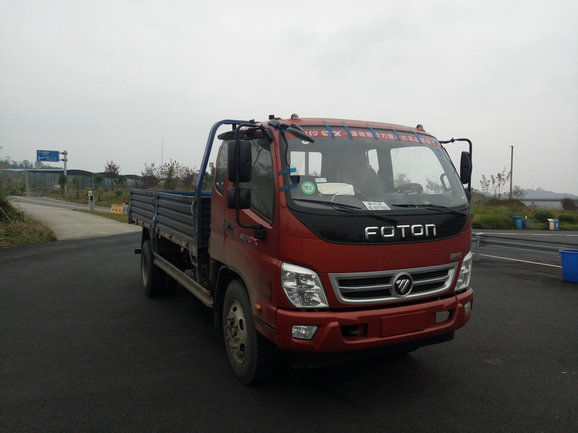BJ1099VEPED-A2载货汽车燃油公告图片2