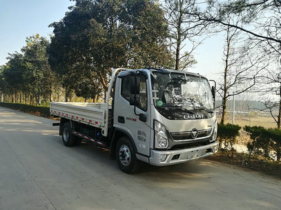 BJ1048V9JEA-FA载货汽车燃油公告图片2