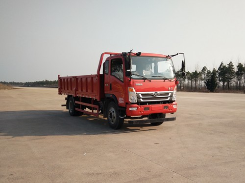 ZZ3168E17EB2自卸汽车燃油公告图片2